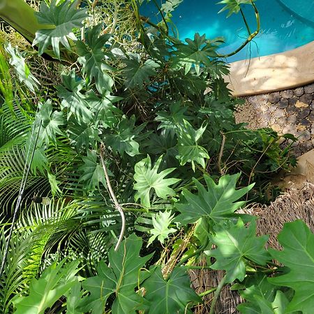 The Secret Garden Tulum Διαμέρισμα Εξωτερικό φωτογραφία