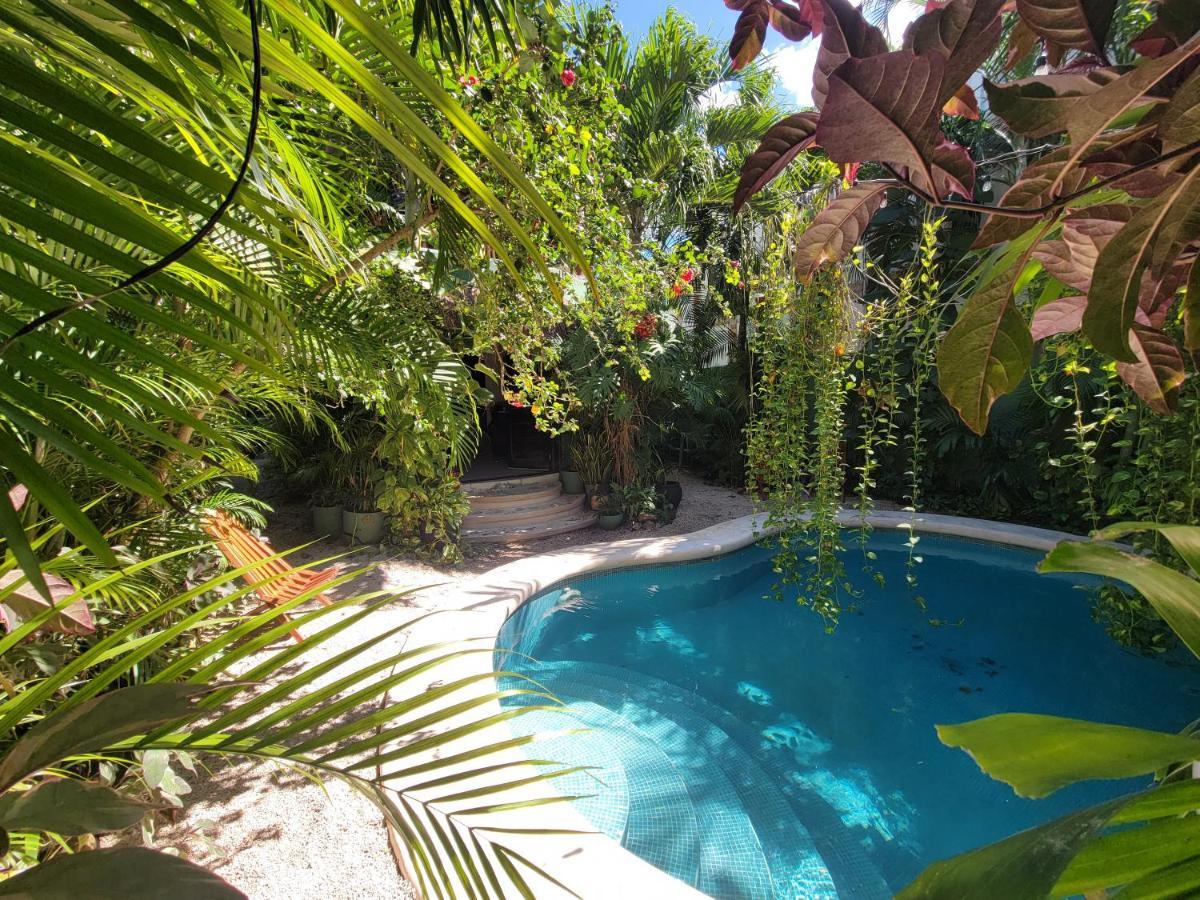 The Secret Garden Tulum Διαμέρισμα Εξωτερικό φωτογραφία