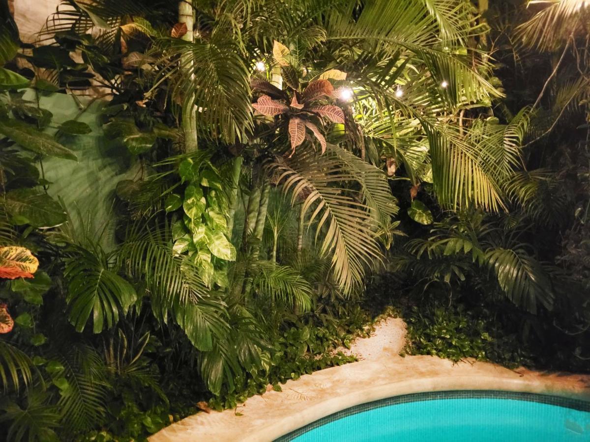 The Secret Garden Tulum Διαμέρισμα Εξωτερικό φωτογραφία