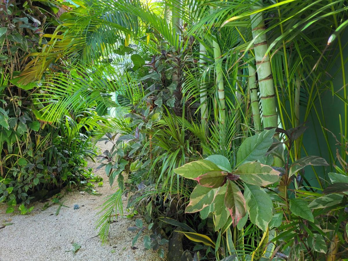 The Secret Garden Tulum Διαμέρισμα Εξωτερικό φωτογραφία
