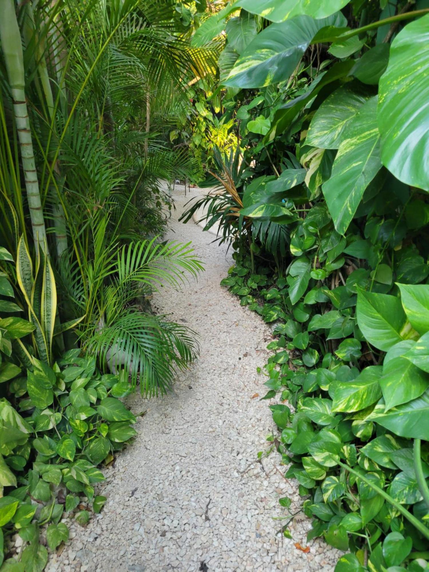 The Secret Garden Tulum Διαμέρισμα Εξωτερικό φωτογραφία