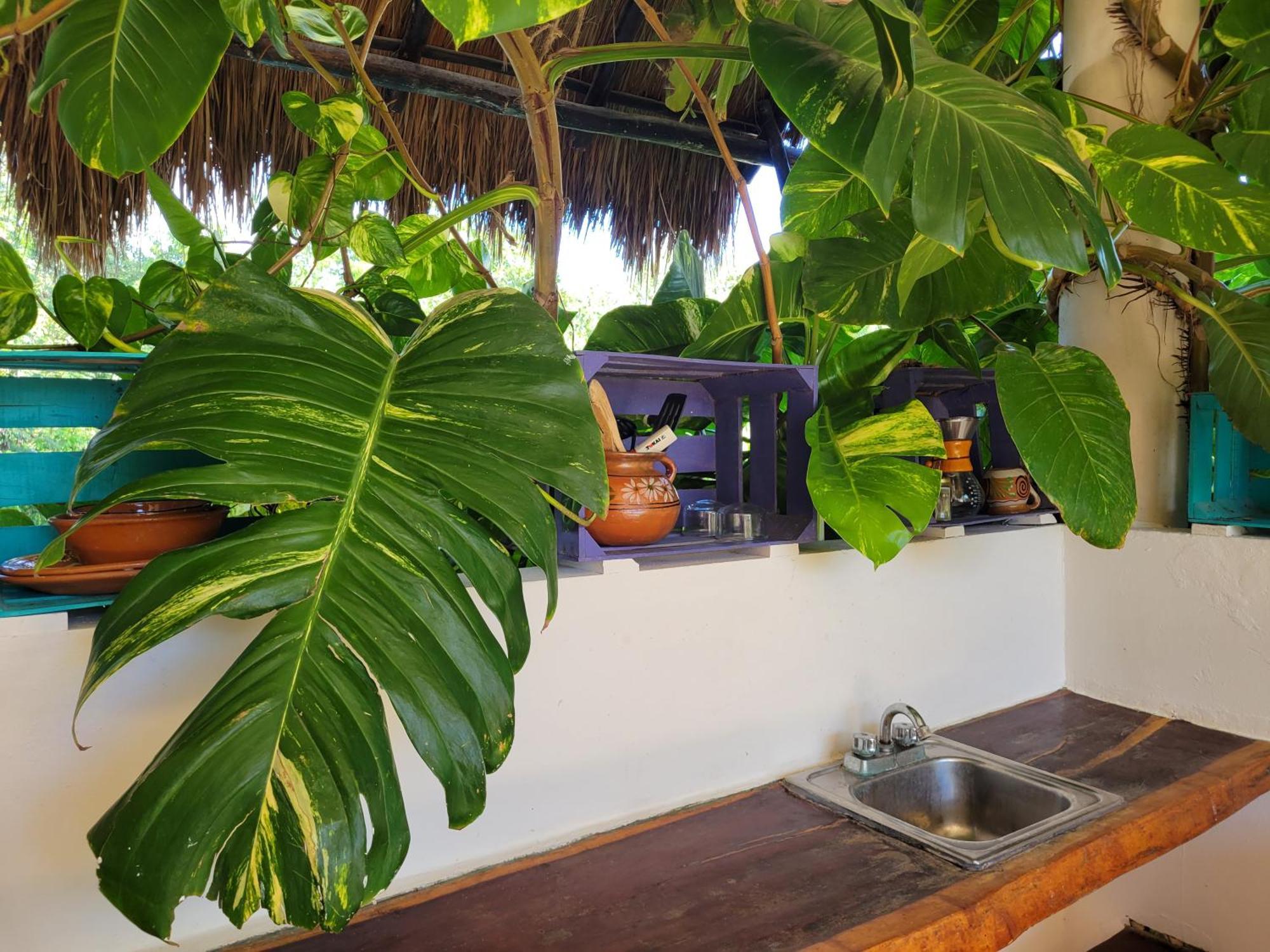 The Secret Garden Tulum Διαμέρισμα Εξωτερικό φωτογραφία