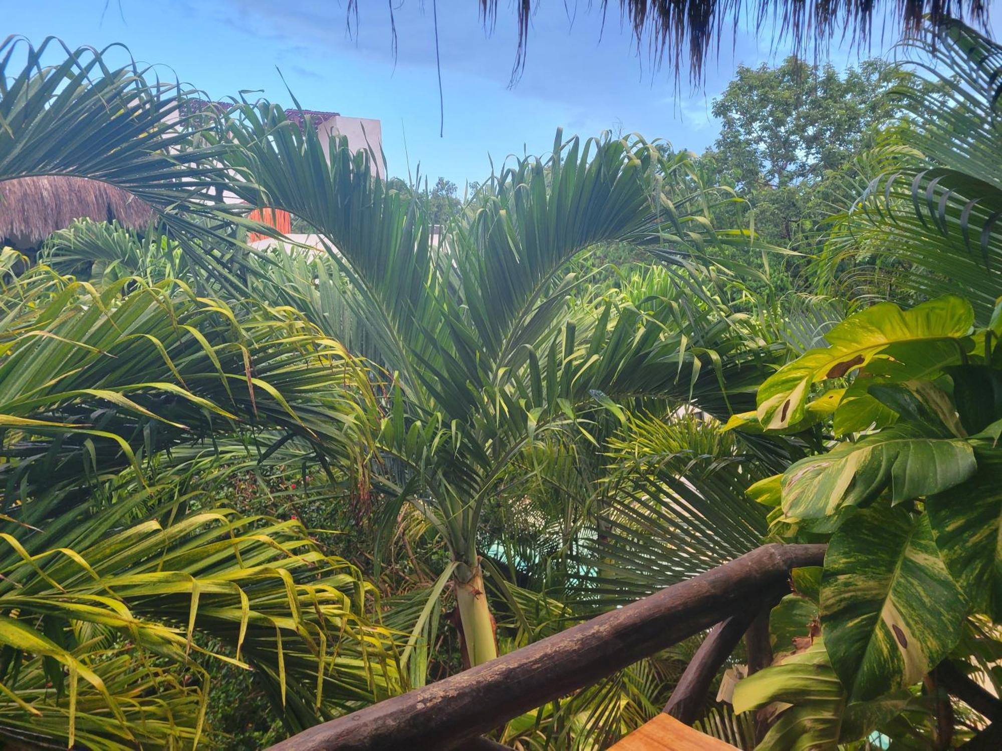 The Secret Garden Tulum Διαμέρισμα Εξωτερικό φωτογραφία